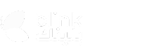 Blink Arabia for Information