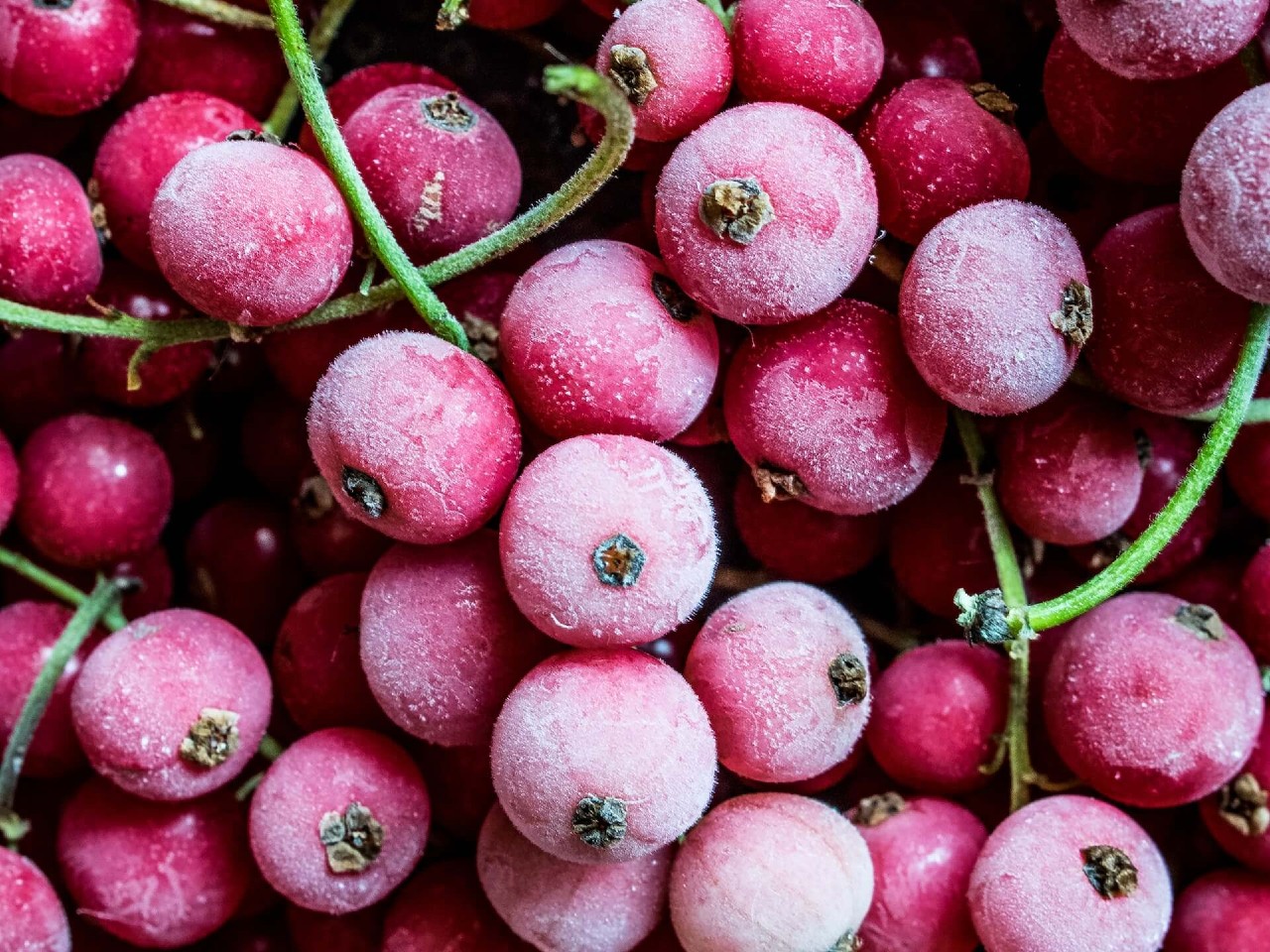 Frozen berries on display.