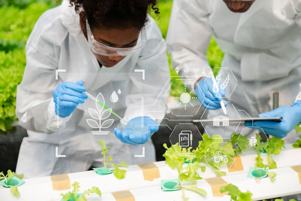 Scientists investigating young plants for startup business
