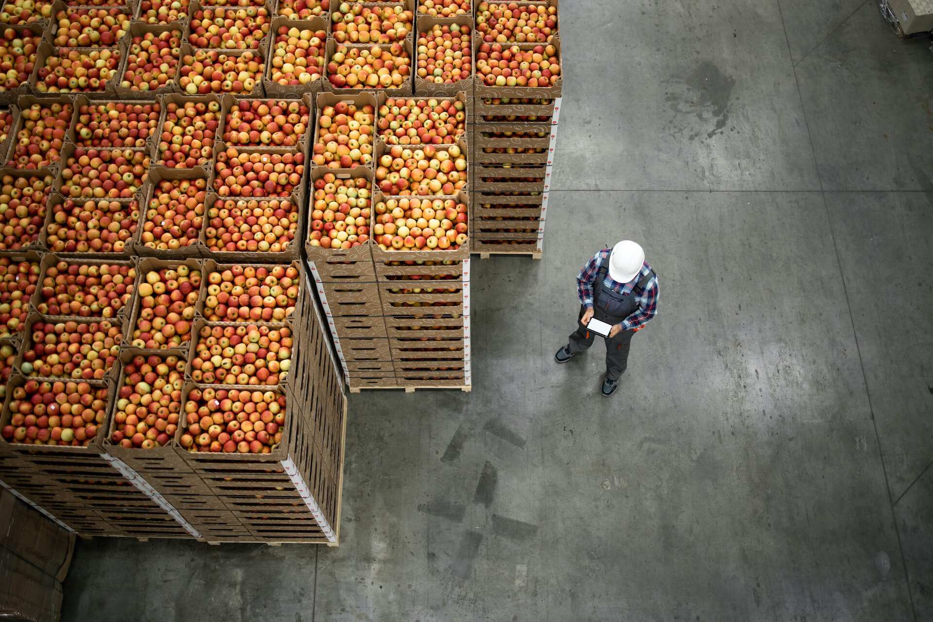 Stacked boxes of apples - background